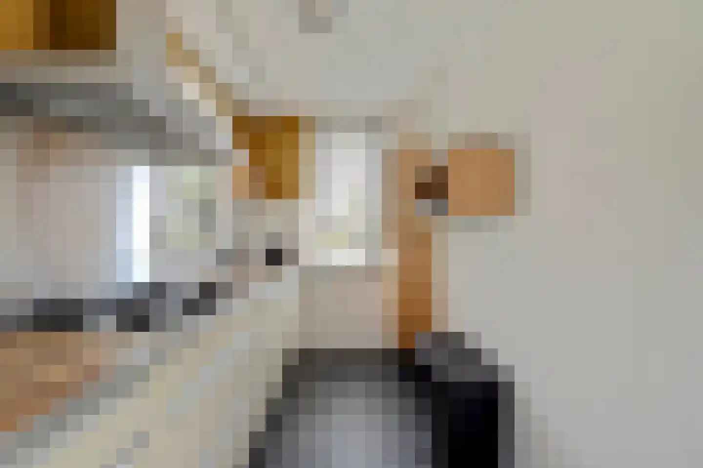 Biezenweide 4 Hendrik-Ido-Ambacht thumbnail 15