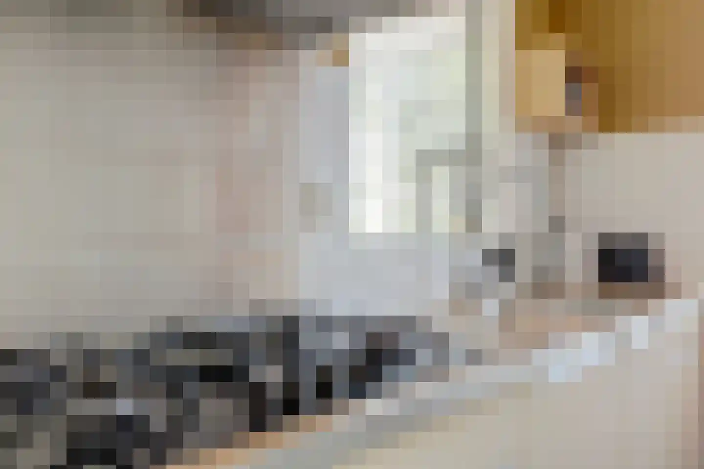 Biezenweide 4 Hendrik-Ido-Ambacht thumbnail 16