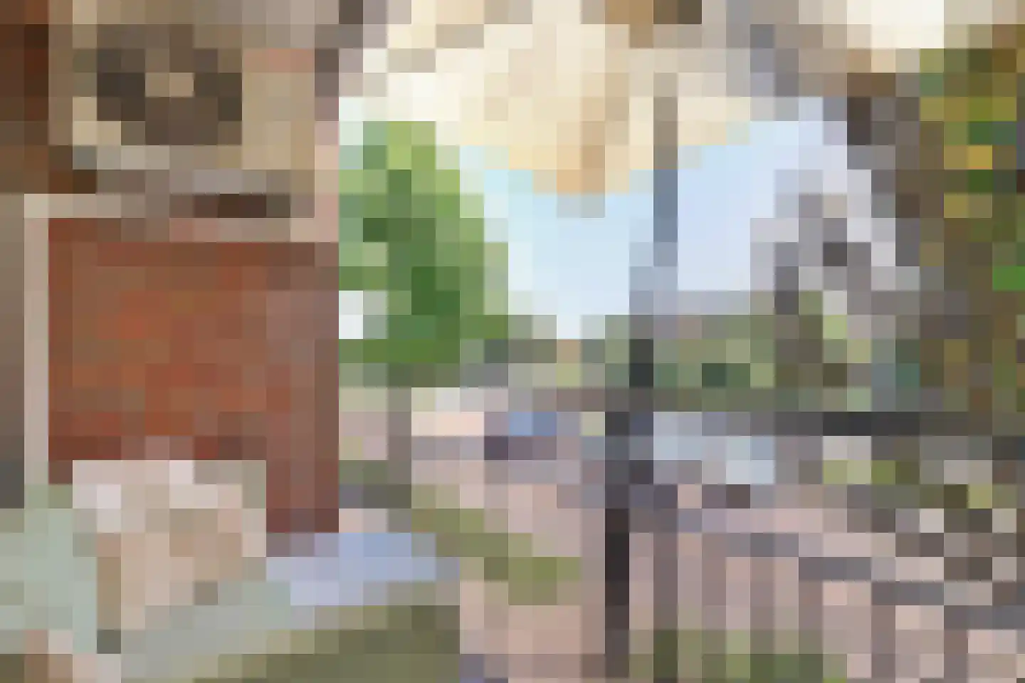 Biezenweide 4 Hendrik-Ido-Ambacht thumbnail 20