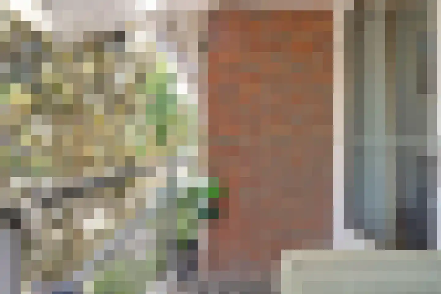 Biezenweide 4 Hendrik-Ido-Ambacht thumbnail 21