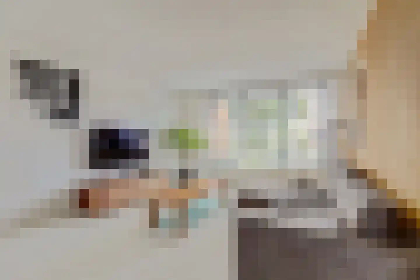 Biezenweide 4 Hendrik-Ido-Ambacht thumbnail 7