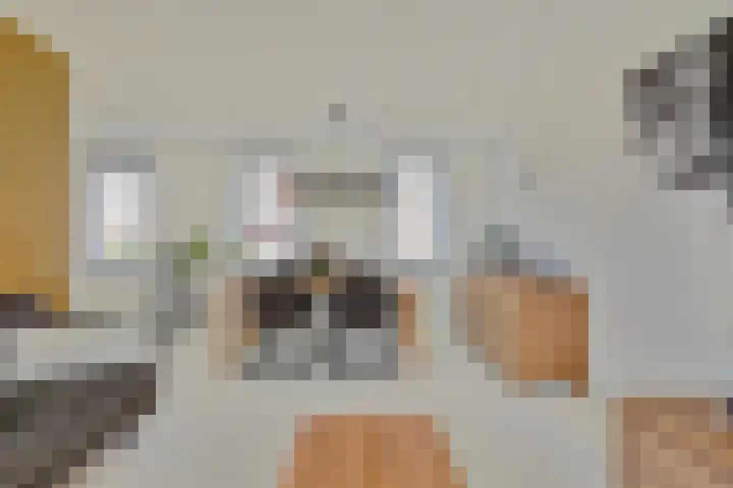 Biezenweide 4 Hendrik-Ido-Ambacht thumbnail 8