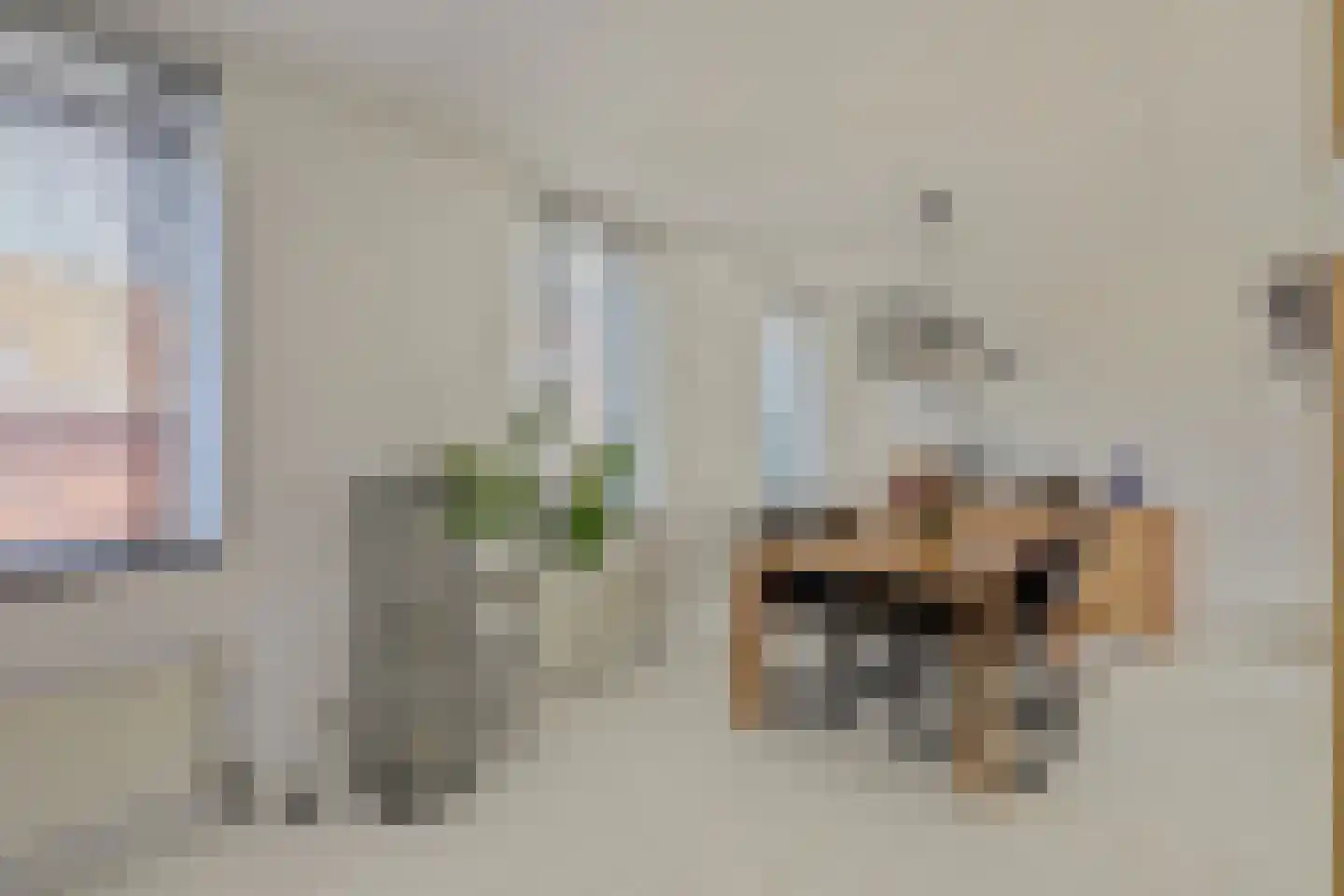 Biezenweide 4 Hendrik-Ido-Ambacht thumbnail 9