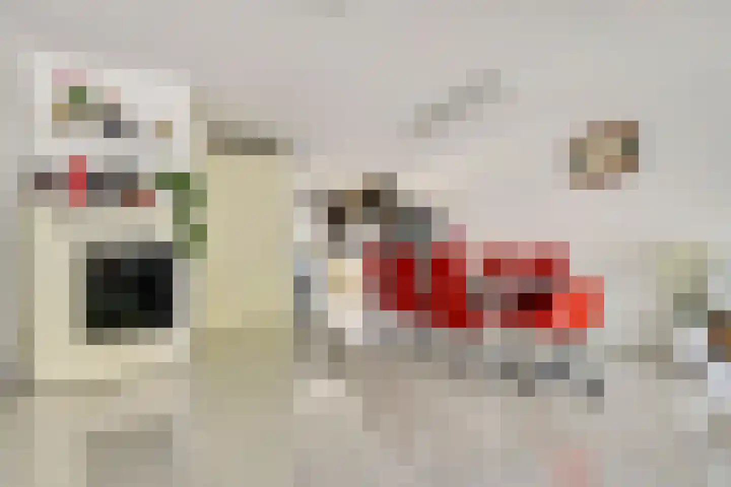 Biezenweide 94 Hendrik-Ido-Ambacht thumbnail 6
