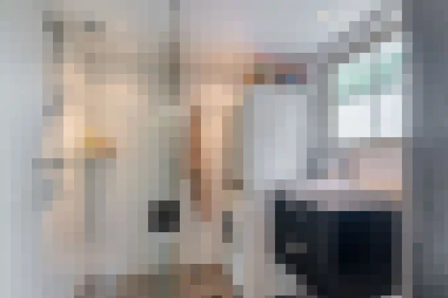 Biezerweg 1 Voorthuizen thumbnail 10