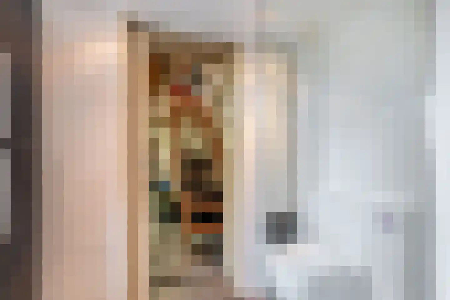 Biezerweg 1 Voorthuizen thumbnail 11