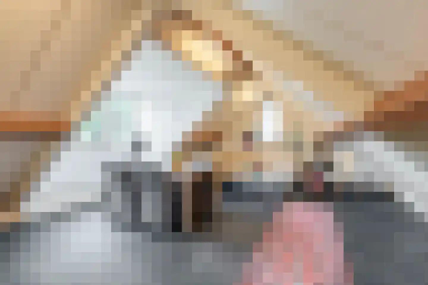 Biezerweg 1 Voorthuizen thumbnail 14