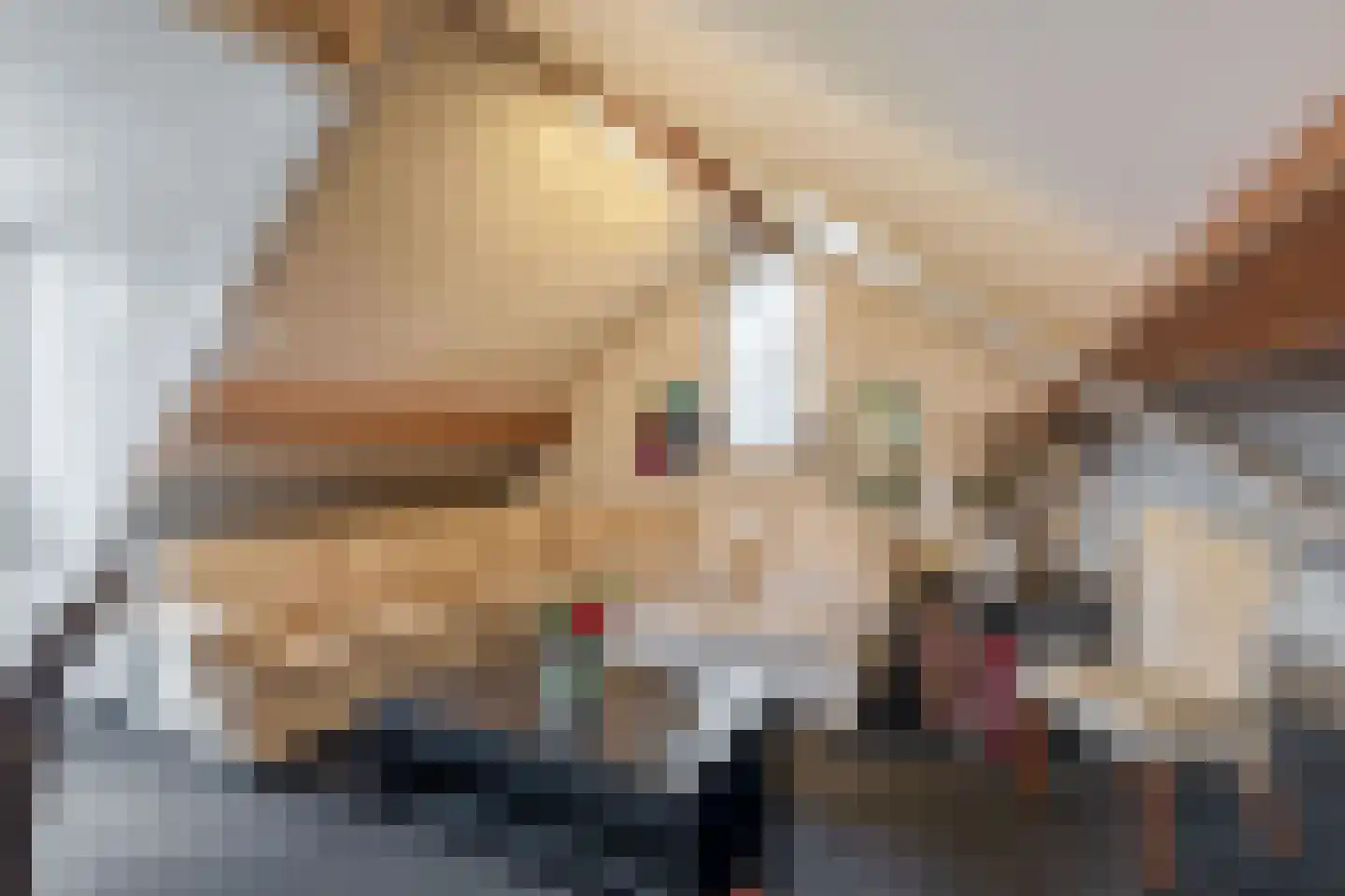 Biezerweg 1 Voorthuizen thumbnail 15