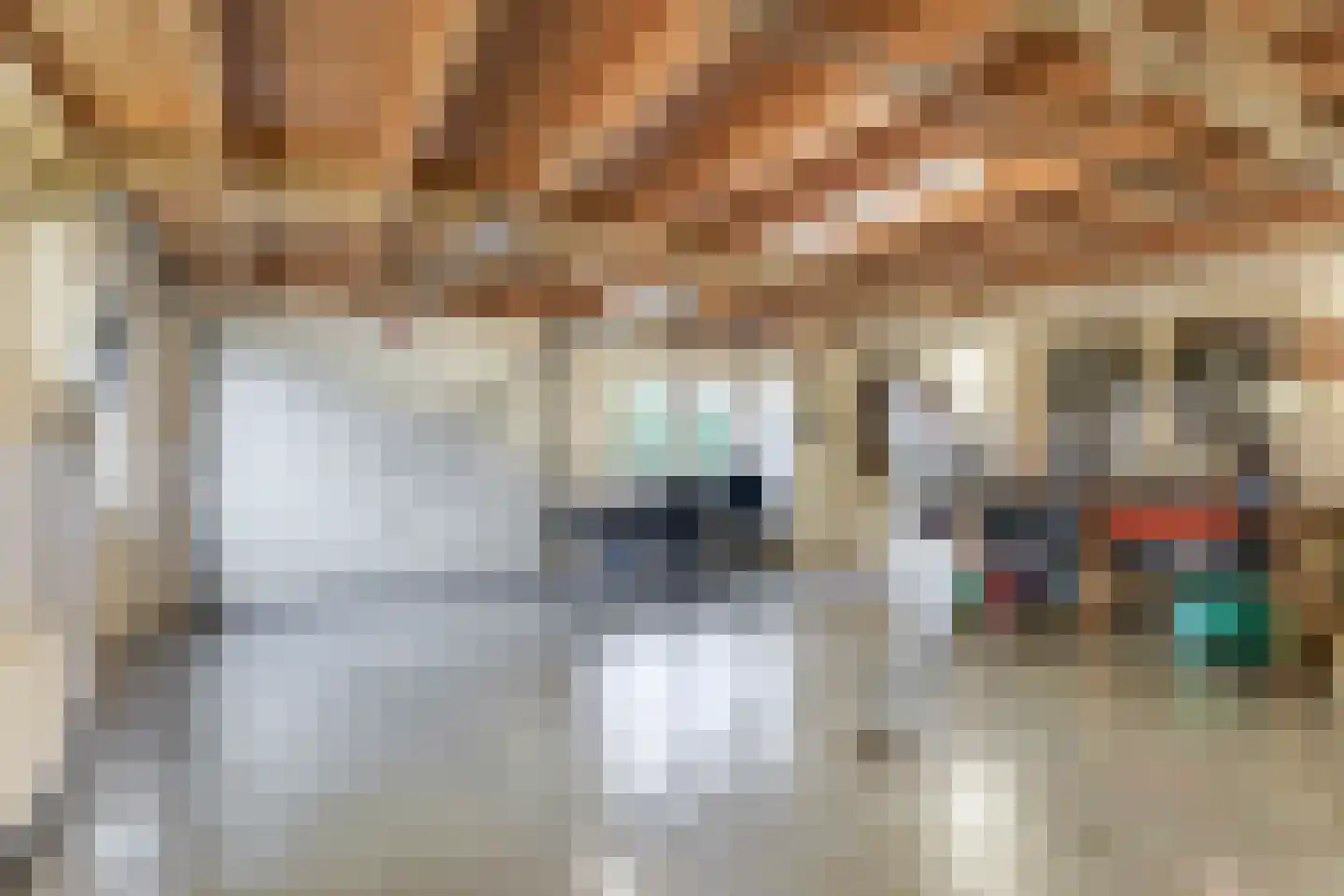 Biezerweg 1 Voorthuizen thumbnail 17