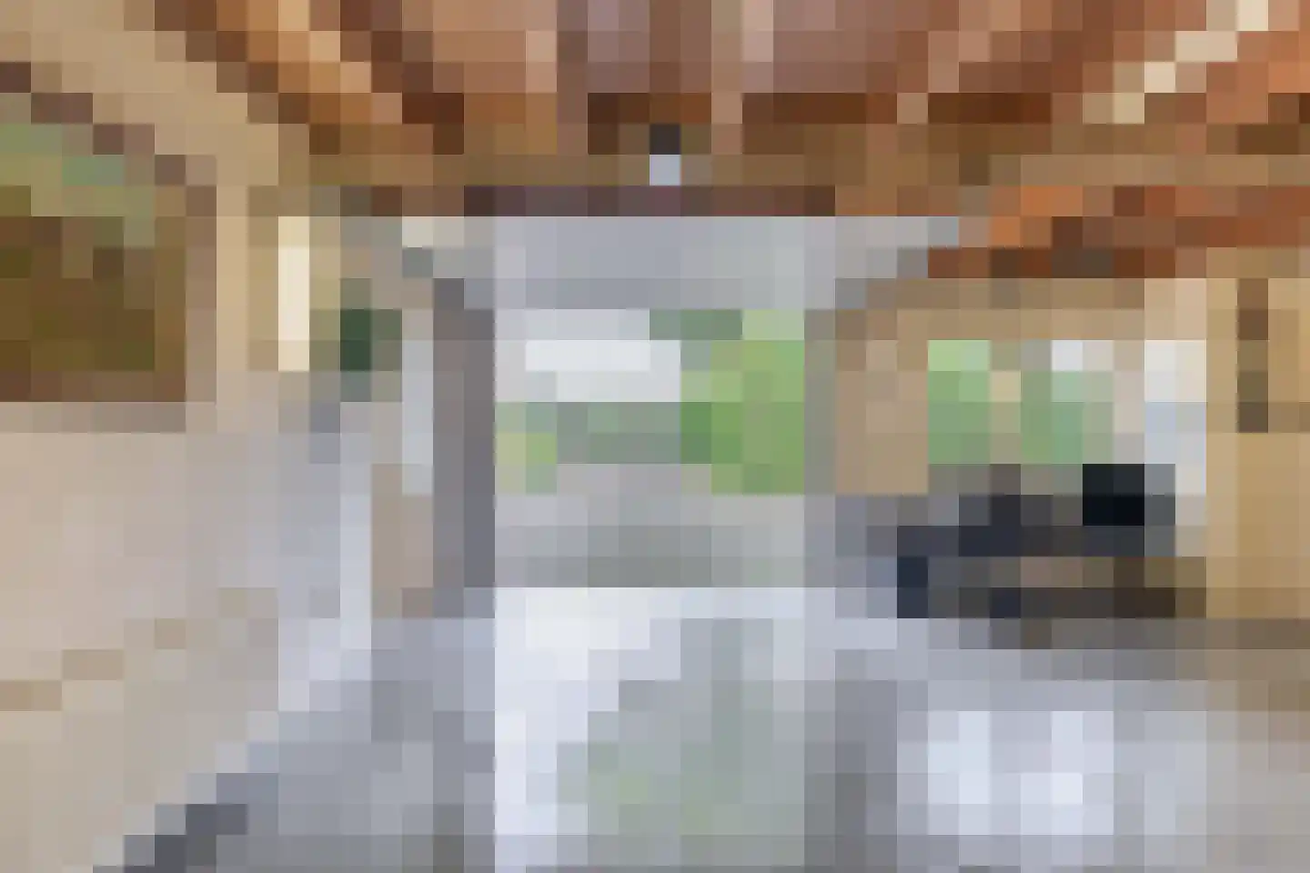 Biezerweg 1 Voorthuizen thumbnail 18