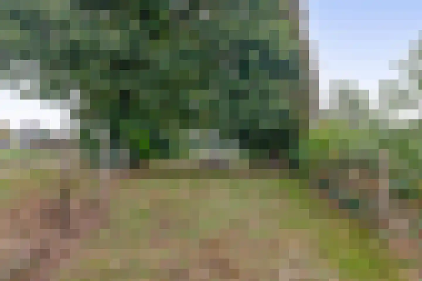 Biezerweg 1 Voorthuizen thumbnail 33