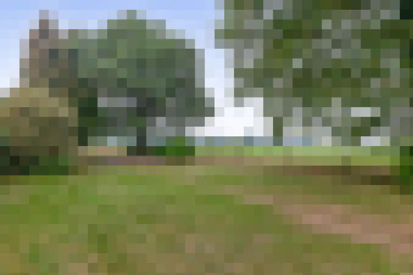Biezerweg 1 Voorthuizen thumbnail 34
