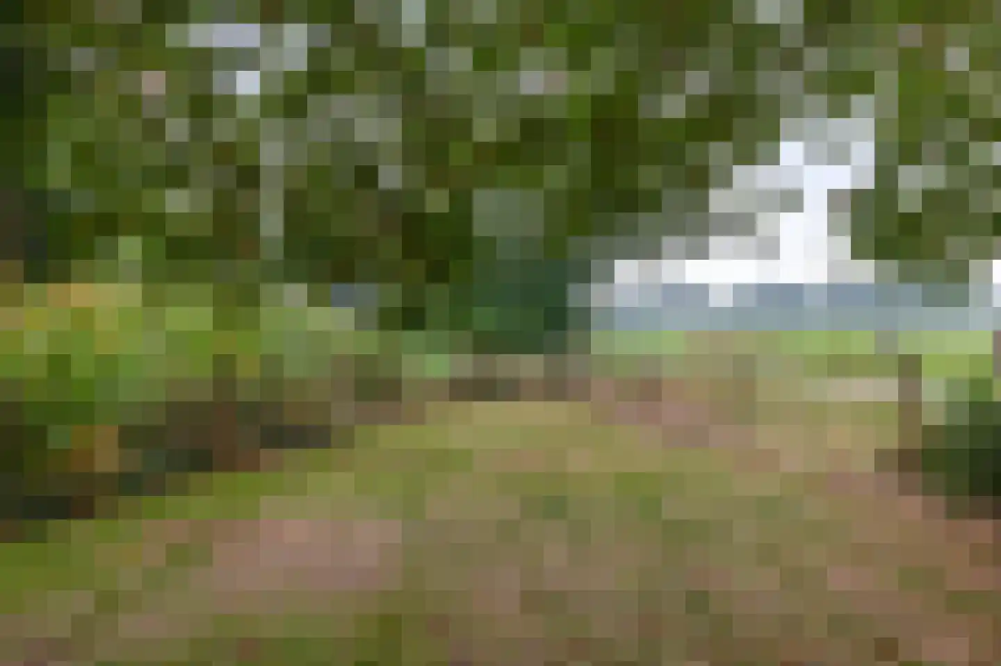 Biezerweg 1 Voorthuizen thumbnail 36