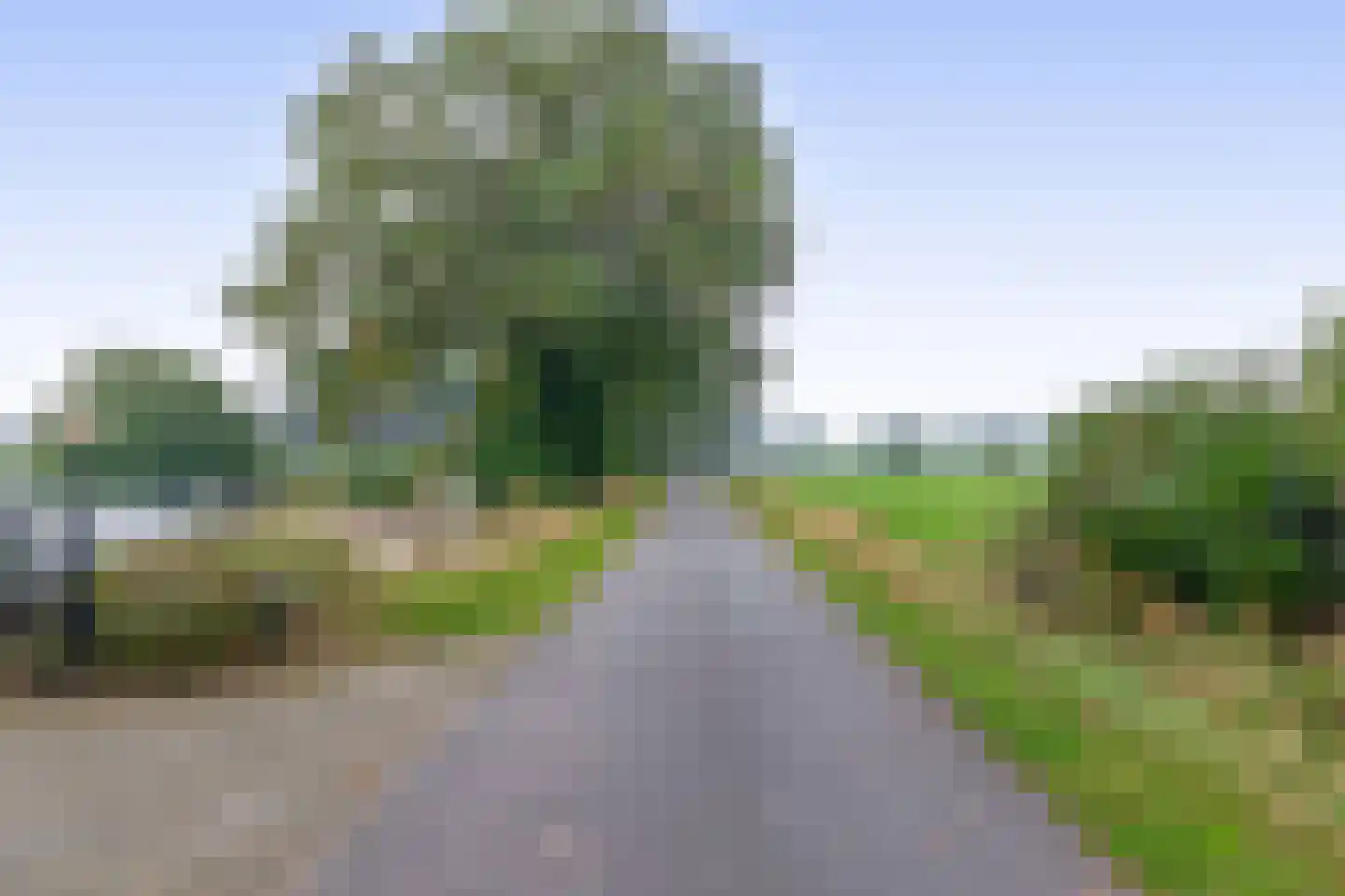 Biezerweg 1 Voorthuizen thumbnail 38