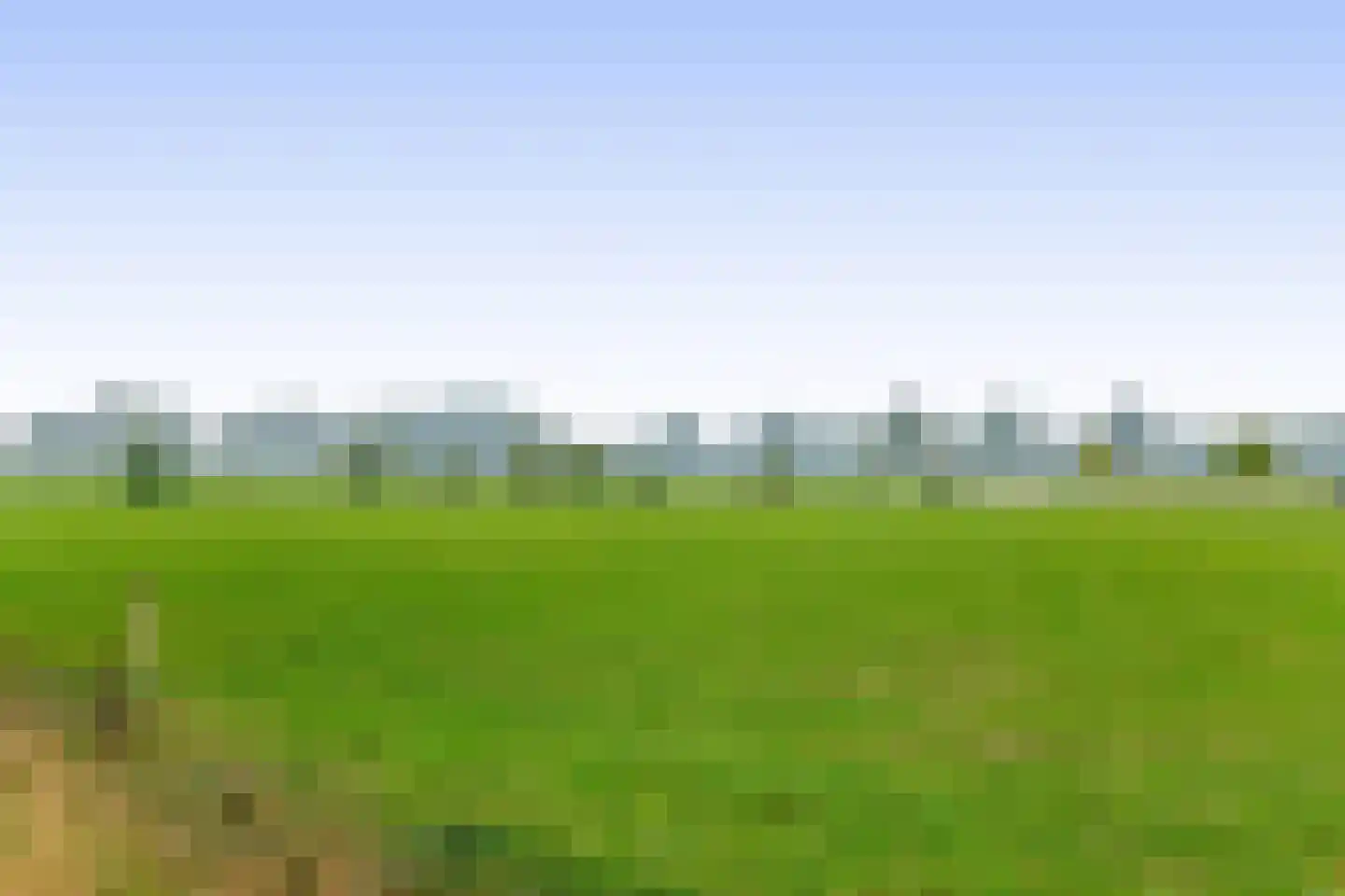 Biezerweg 1 Voorthuizen thumbnail 39
