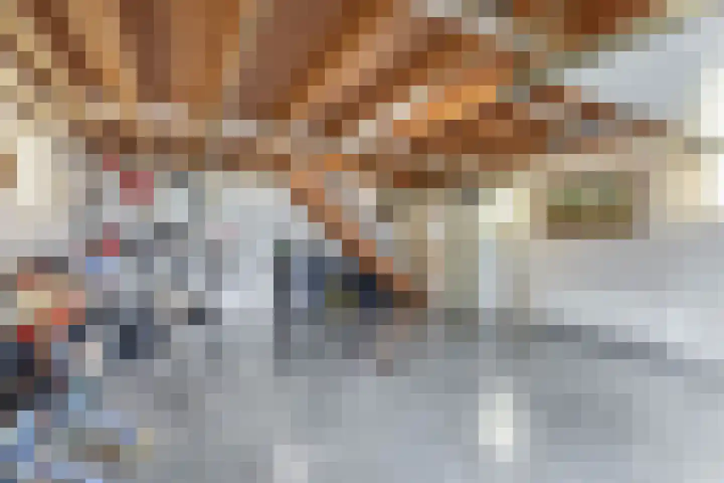 Biezerweg 1 Voorthuizen thumbnail 8