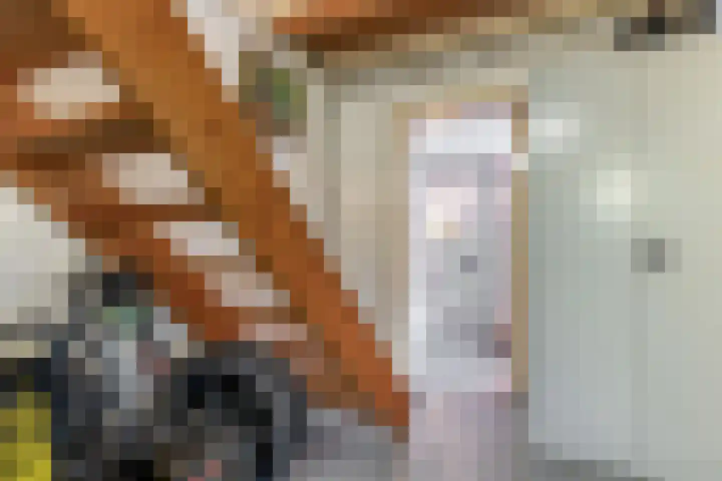 Biezerweg 1 Voorthuizen thumbnail 9