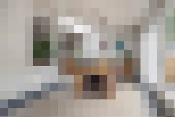 Biggekerkestraat 5 Tilburg thumbnail 14