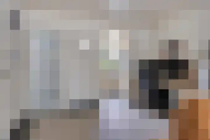 Biggekerkestraat 5 Tilburg thumbnail 15