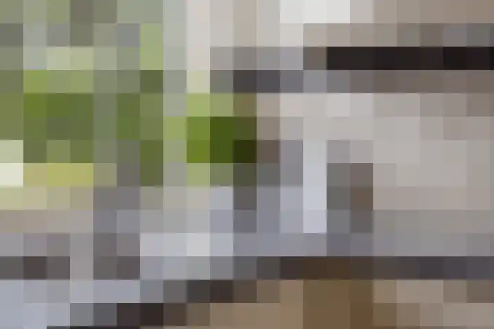 Biggekerkestraat 5 Tilburg thumbnail 16
