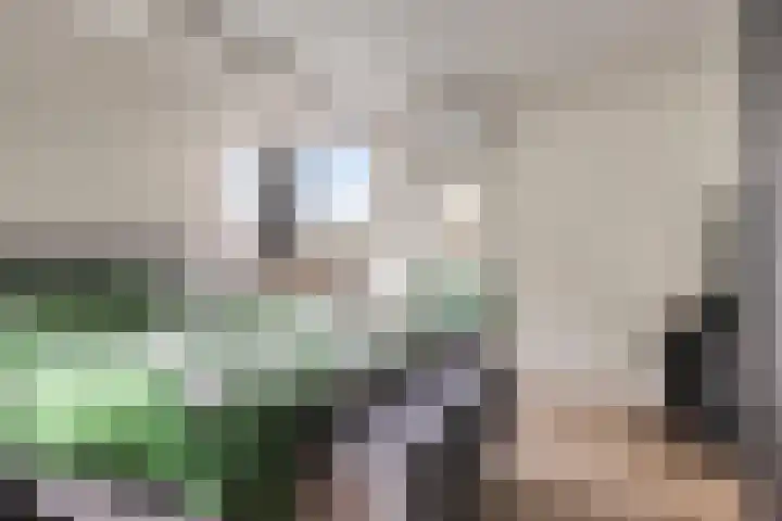 Biggekerkestraat 5 Tilburg thumbnail 18