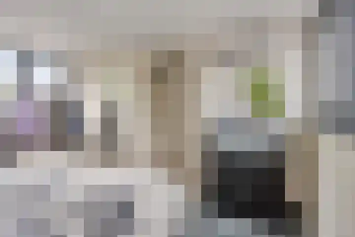 Biggekerkestraat 5 Tilburg thumbnail 22