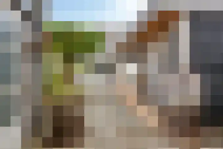 Biggekerkestraat 5 Tilburg thumbnail 26