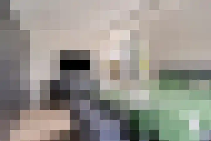 Biggekerkestraat 5 Tilburg thumbnail 4