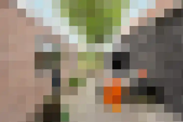 Biggekerksestraat 23 Koudekerke thumbnail 19
