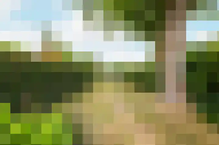 Biggekerksestraat 23 Koudekerke thumbnail 20