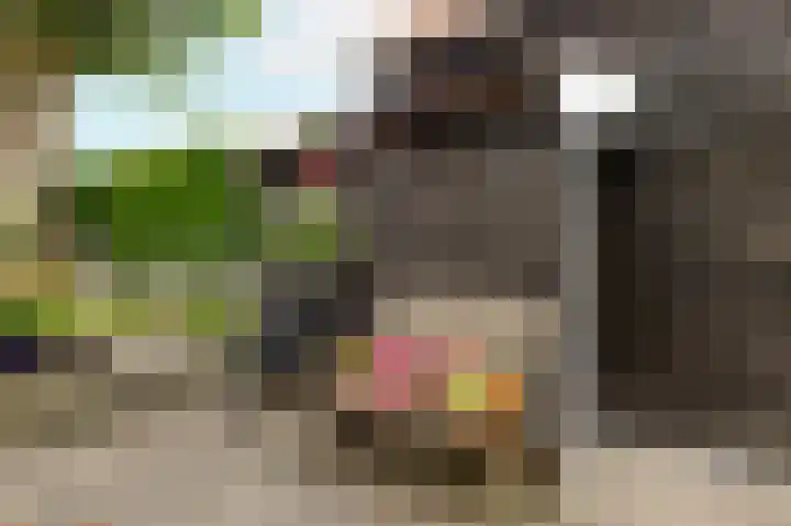 Biggekerksestraat 23 Koudekerke thumbnail 23