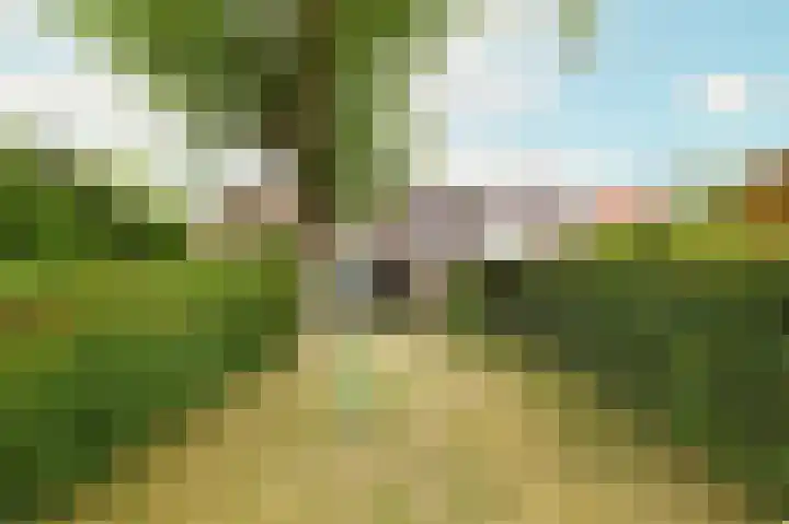 Biggekerksestraat 23 Koudekerke thumbnail 24