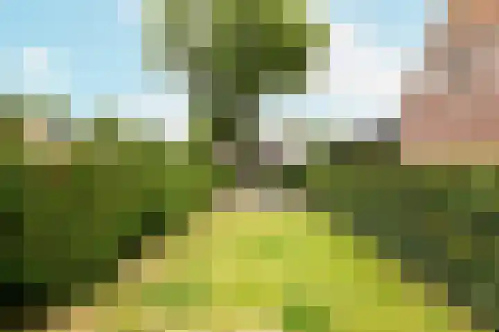 Biggekerksestraat 23 Koudekerke thumbnail 26