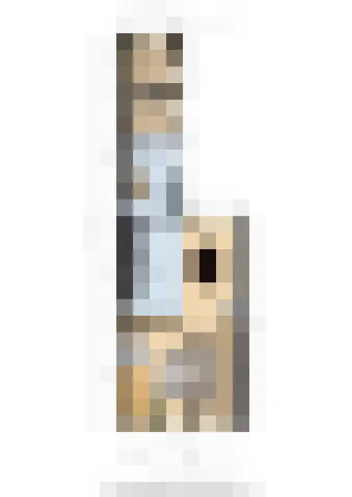 Biggekerksestraat 23 Koudekerke thumbnail 36