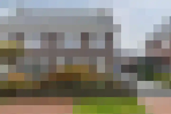 Biggekruid 12 Beilen