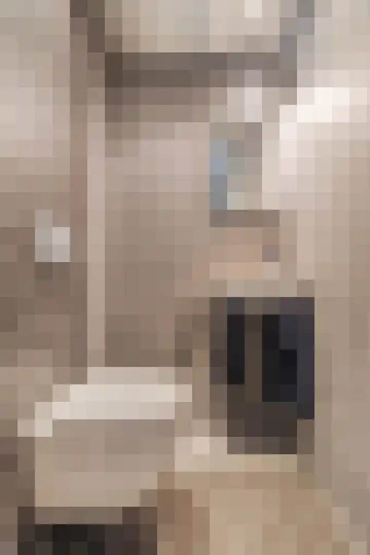 Biggekruid 12 Beilen thumbnail 10