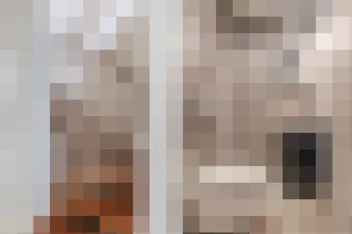 Biggekruid 12 Beilen thumbnail 11