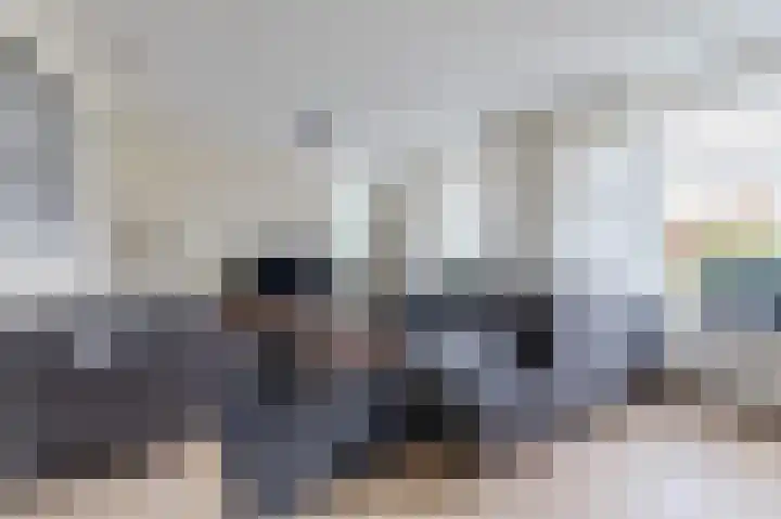 Biggekruid 12 Beilen thumbnail 13