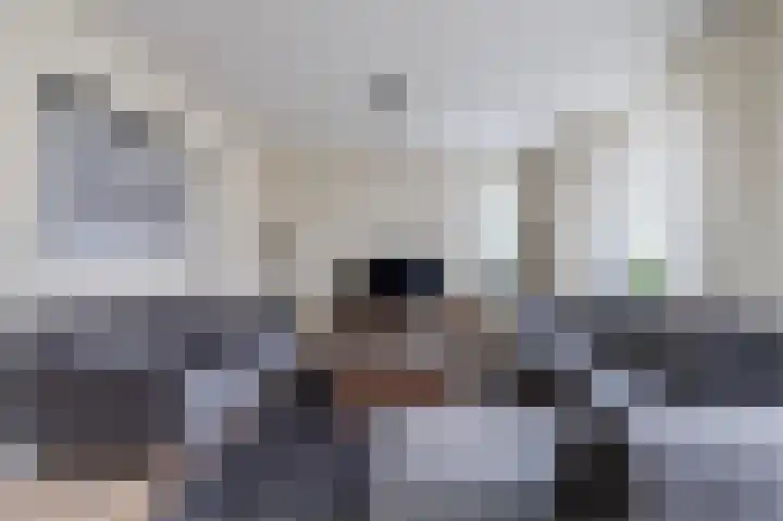 Biggekruid 12 Beilen thumbnail 14