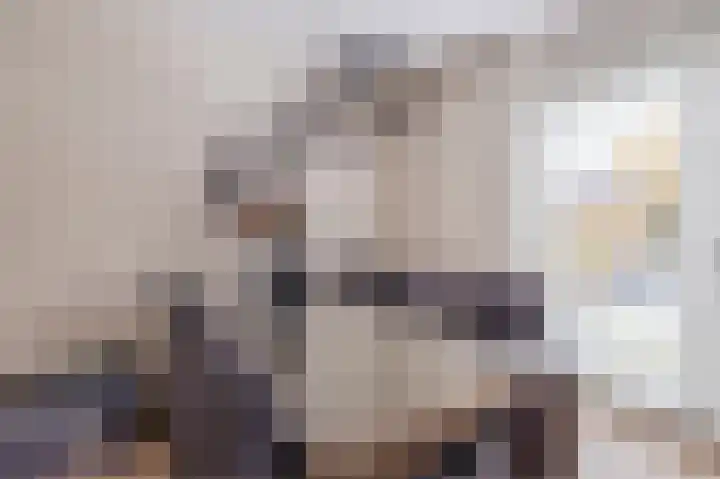 Biggekruid 12 Beilen thumbnail 18