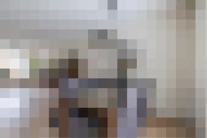 Biggekruid 12 Beilen thumbnail 19