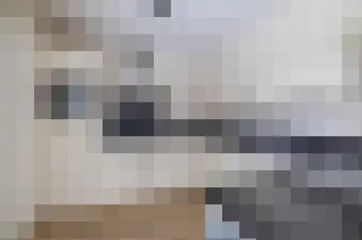 Biggekruid 12 Beilen thumbnail 20