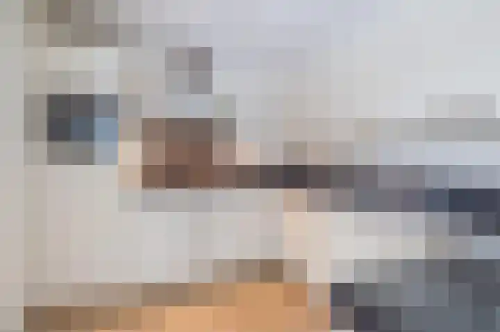 Biggekruid 12 Beilen thumbnail 21