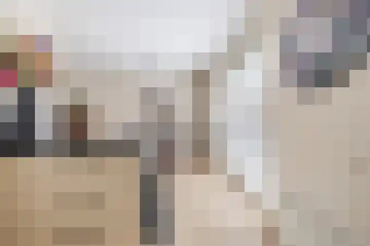 Biggekruid 12 Beilen thumbnail 24
