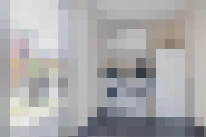 Biggekruid 12 Beilen thumbnail 25
