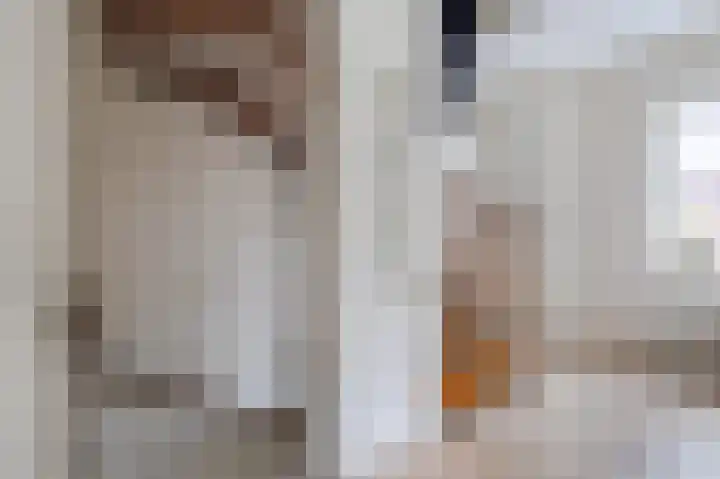 Biggekruid 12 Beilen thumbnail 27