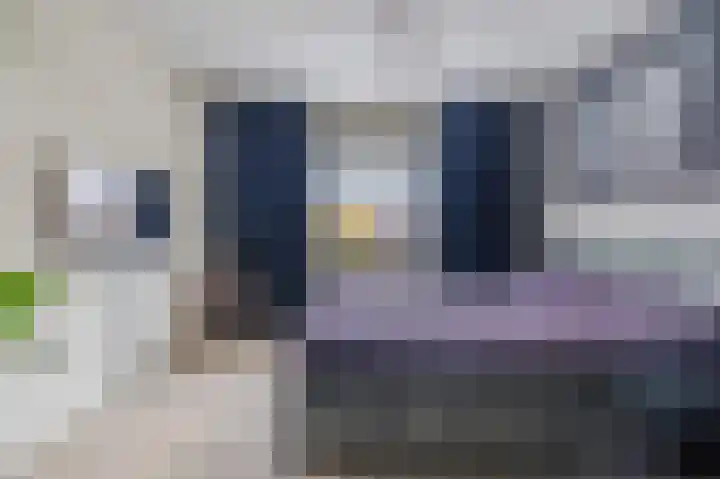 Biggekruid 12 Beilen thumbnail 29