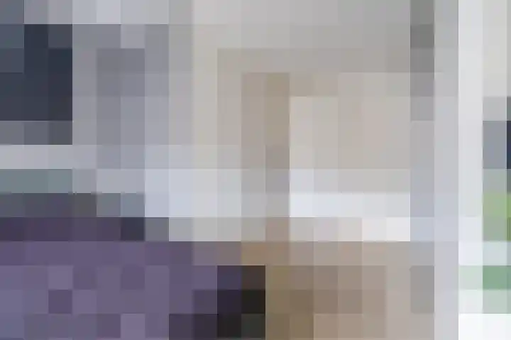 Biggekruid 12 Beilen thumbnail 30