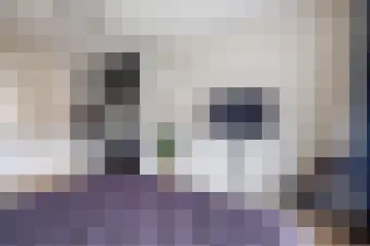 Biggekruid 12 Beilen thumbnail 31