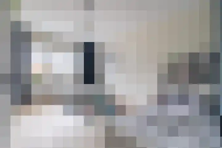 Biggekruid 12 Beilen thumbnail 32